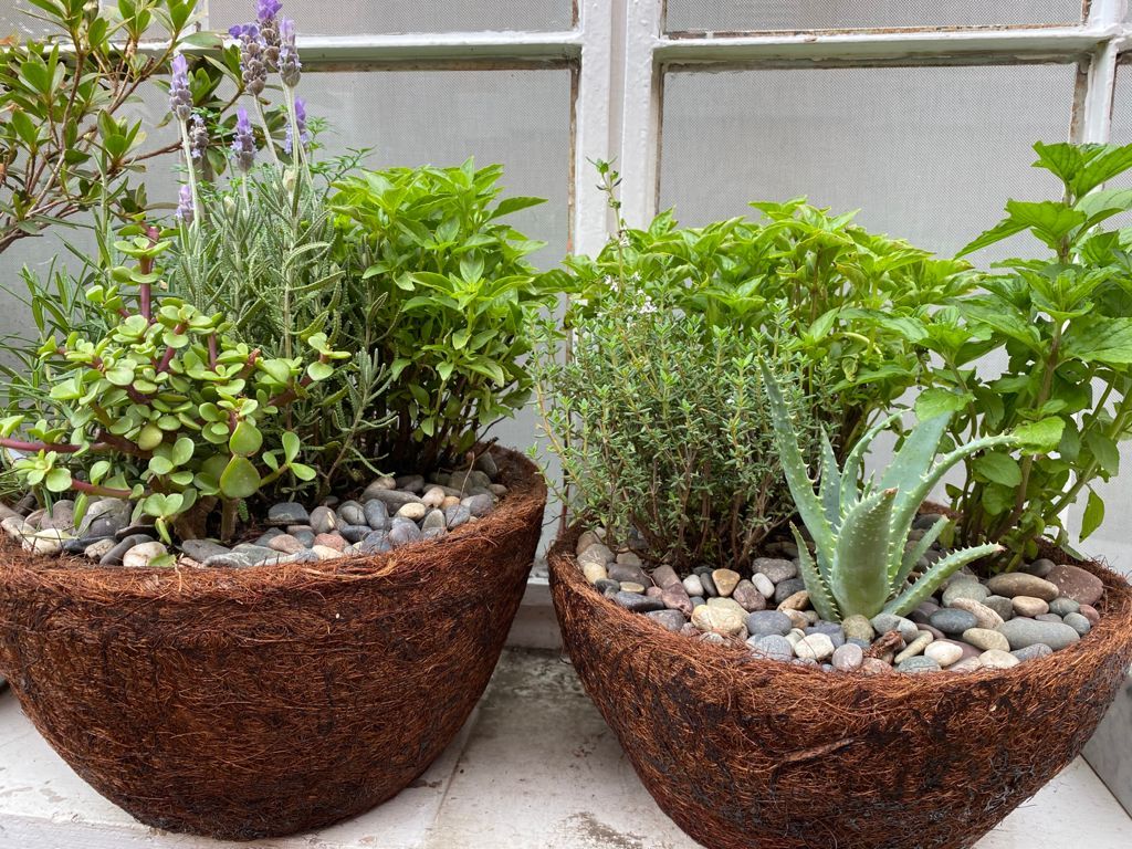 Dos cestas colgantes llenas de hierbas y pequeñas piedras descansan en el alféizar de una ventana.