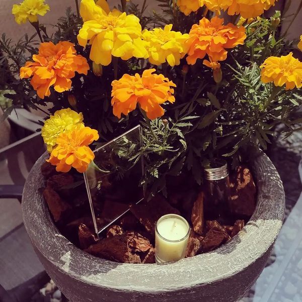 Flores de caléndula amarillas y naranjas en una maceta gris, con un espejo, una vela y astillas de madera.