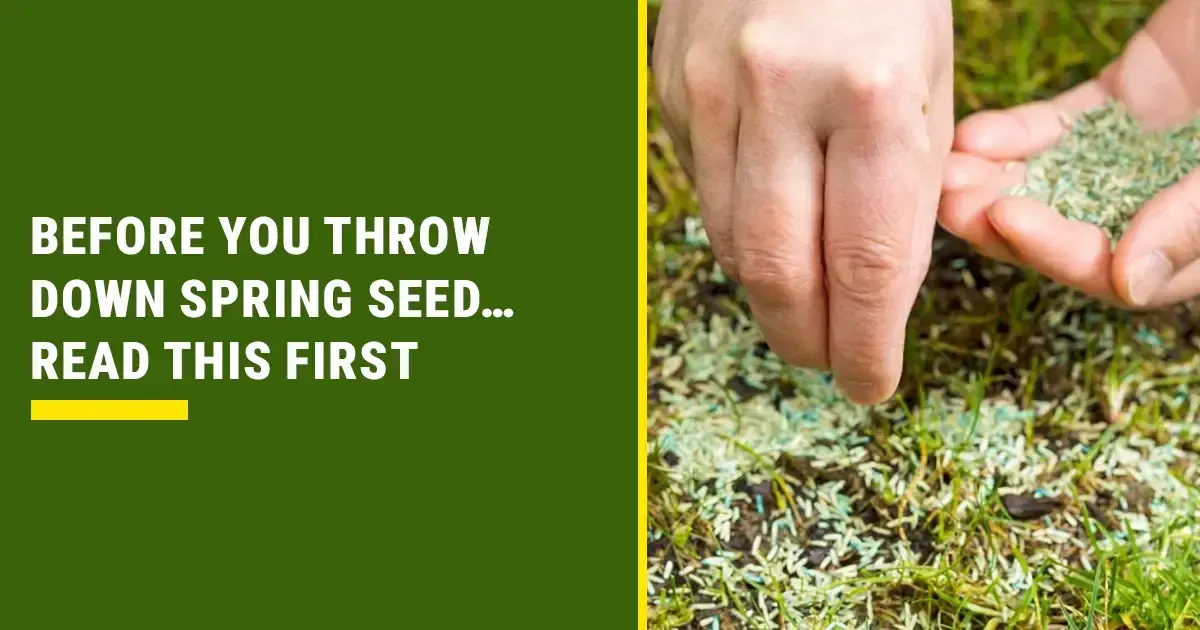 The Truth About Spring Overseeding (And Why Most Homeowners Make It ...