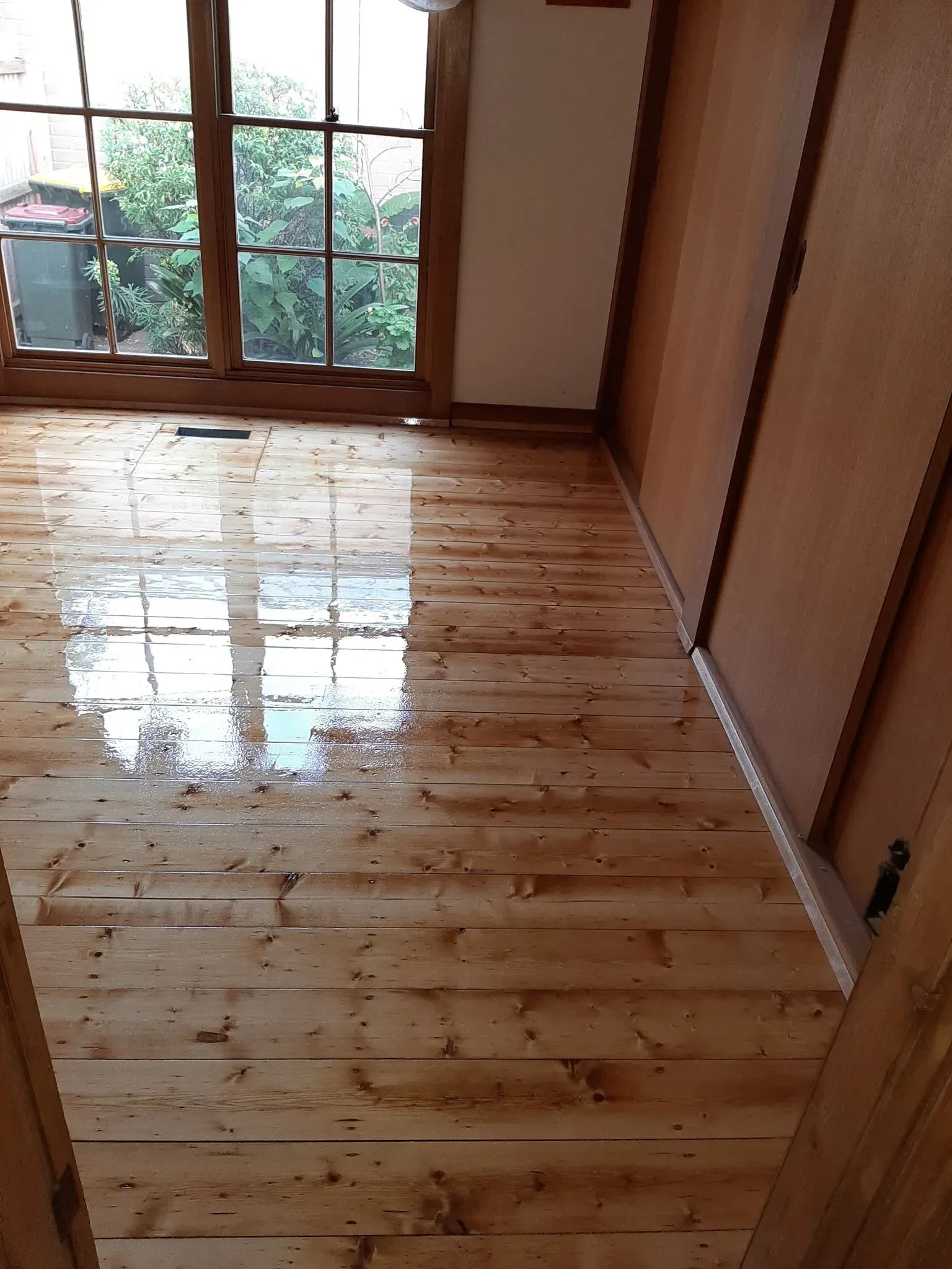 Polished Baltic Pine Flooring — Geelong, VIC — Fine Finish Floors