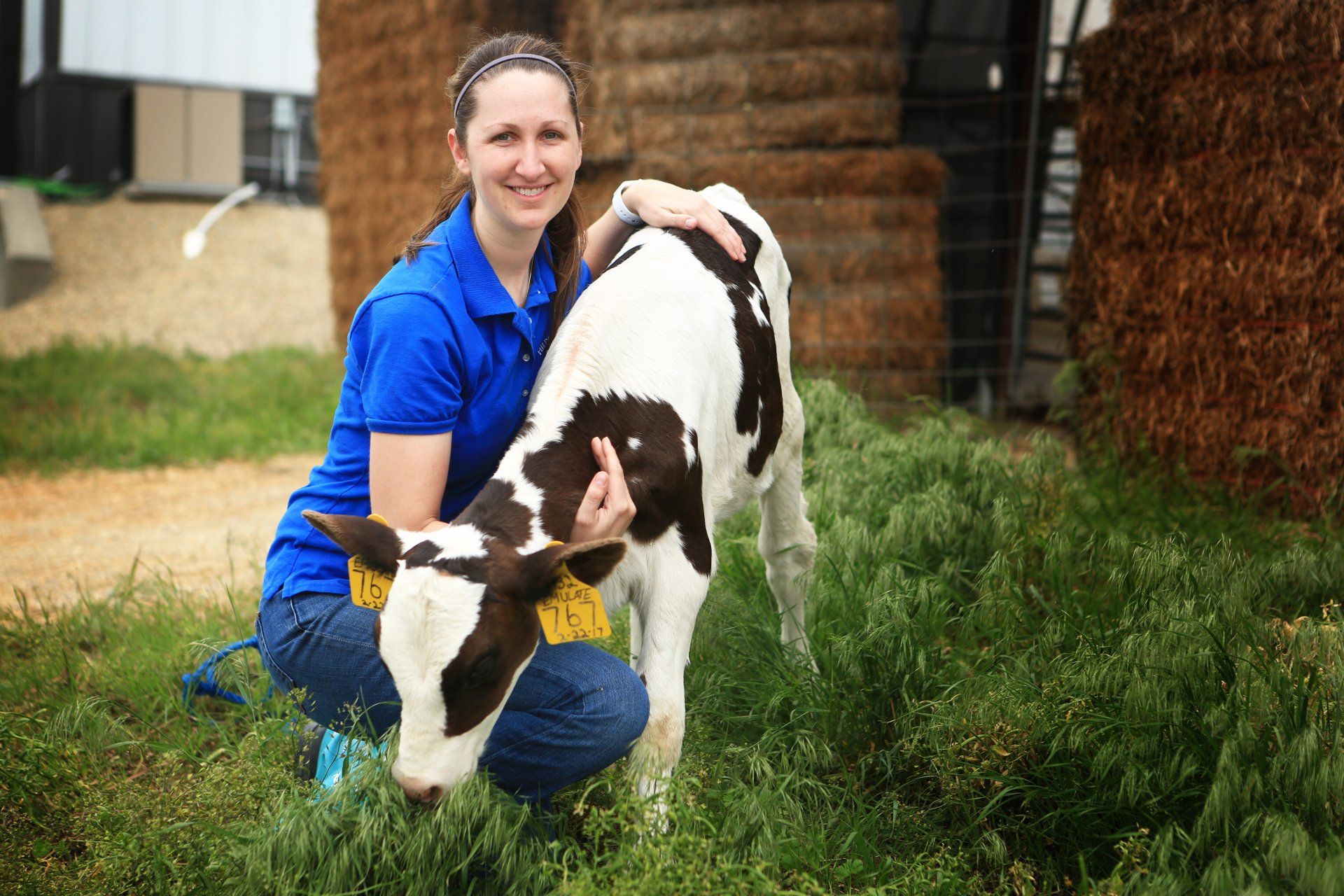 Hildebrand Farms Dairy