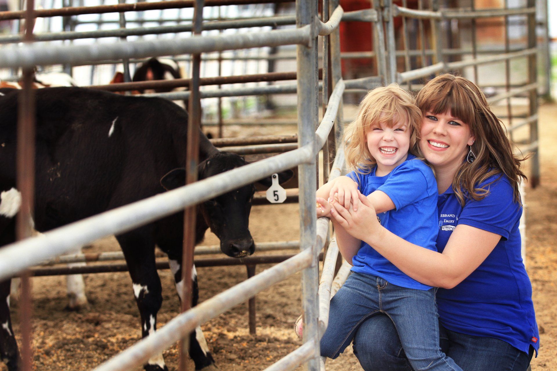 Hildebrand Farms Dairy
