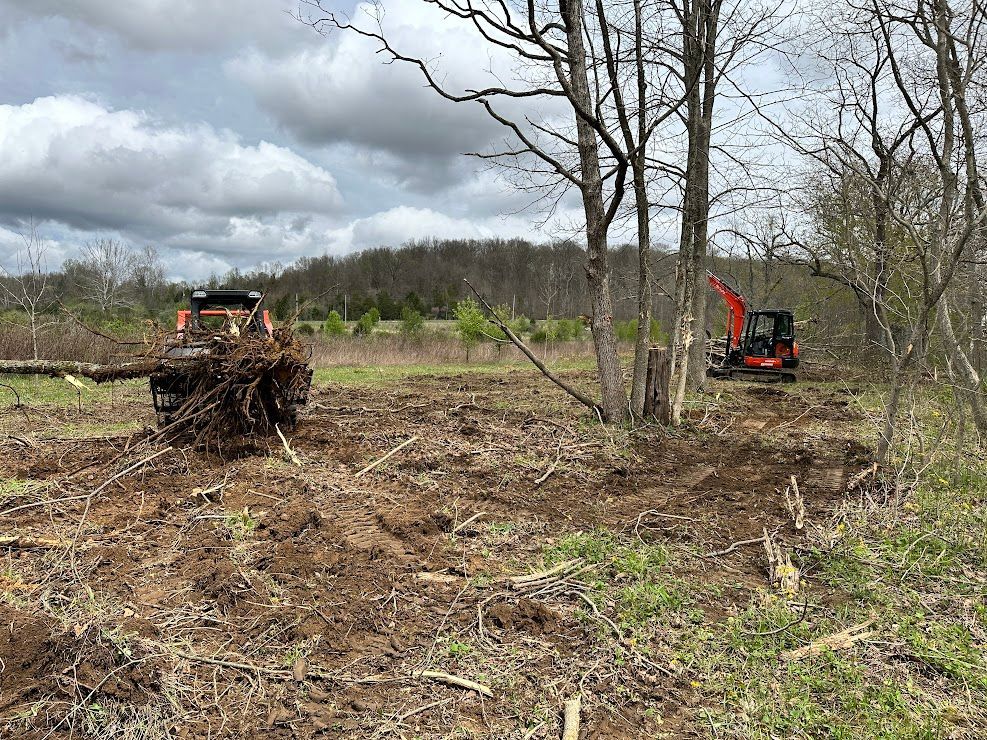 Brush Clearing Services in Southern Indiana