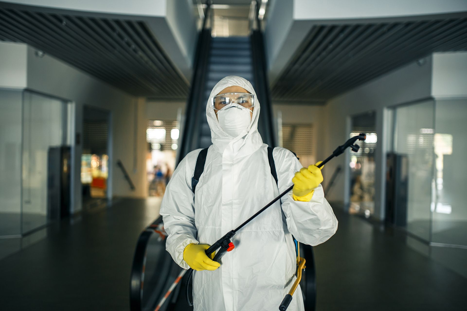 Mold Remediation Specialist in Commercial Building