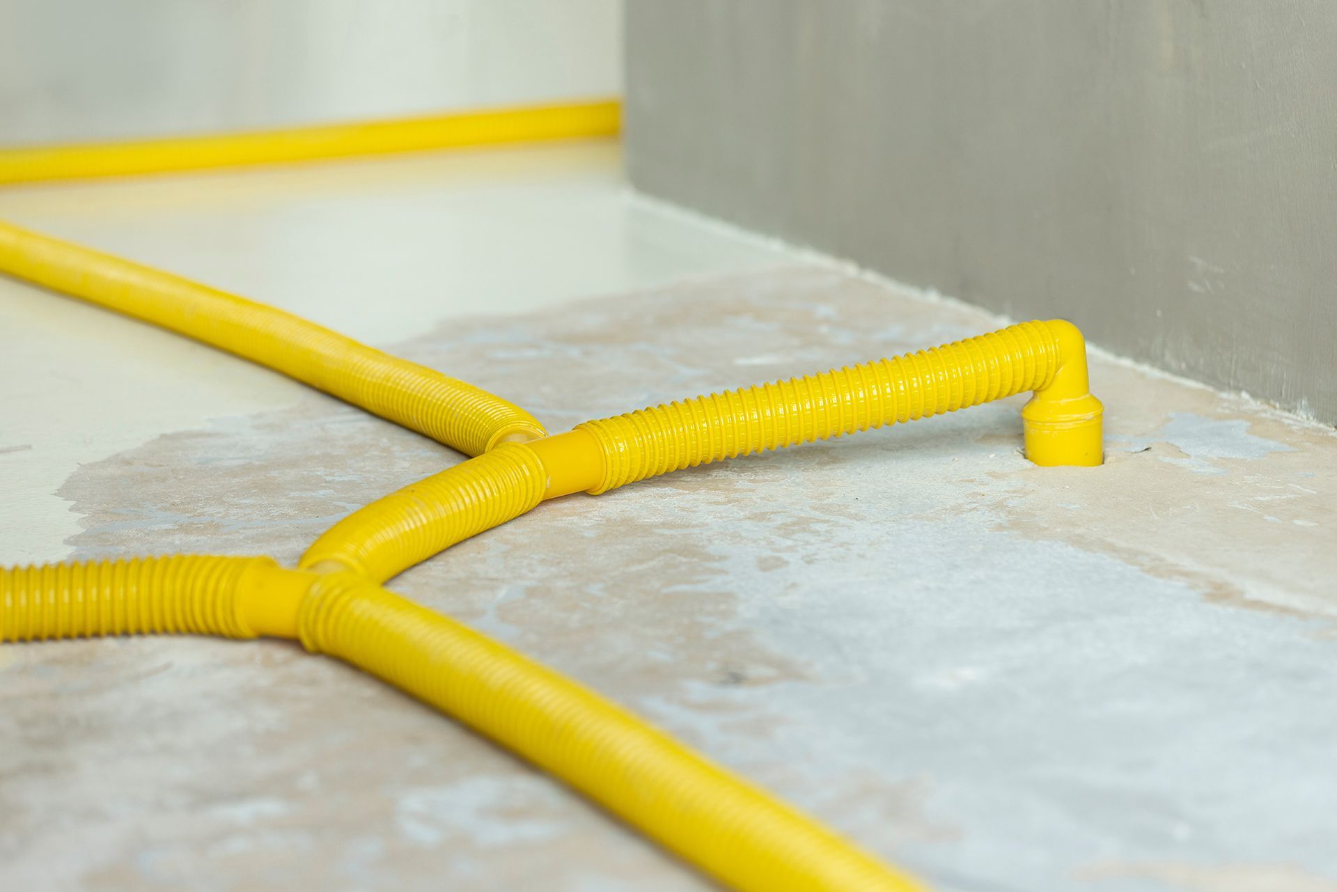 Yellow Pipes is Laying on the Floor