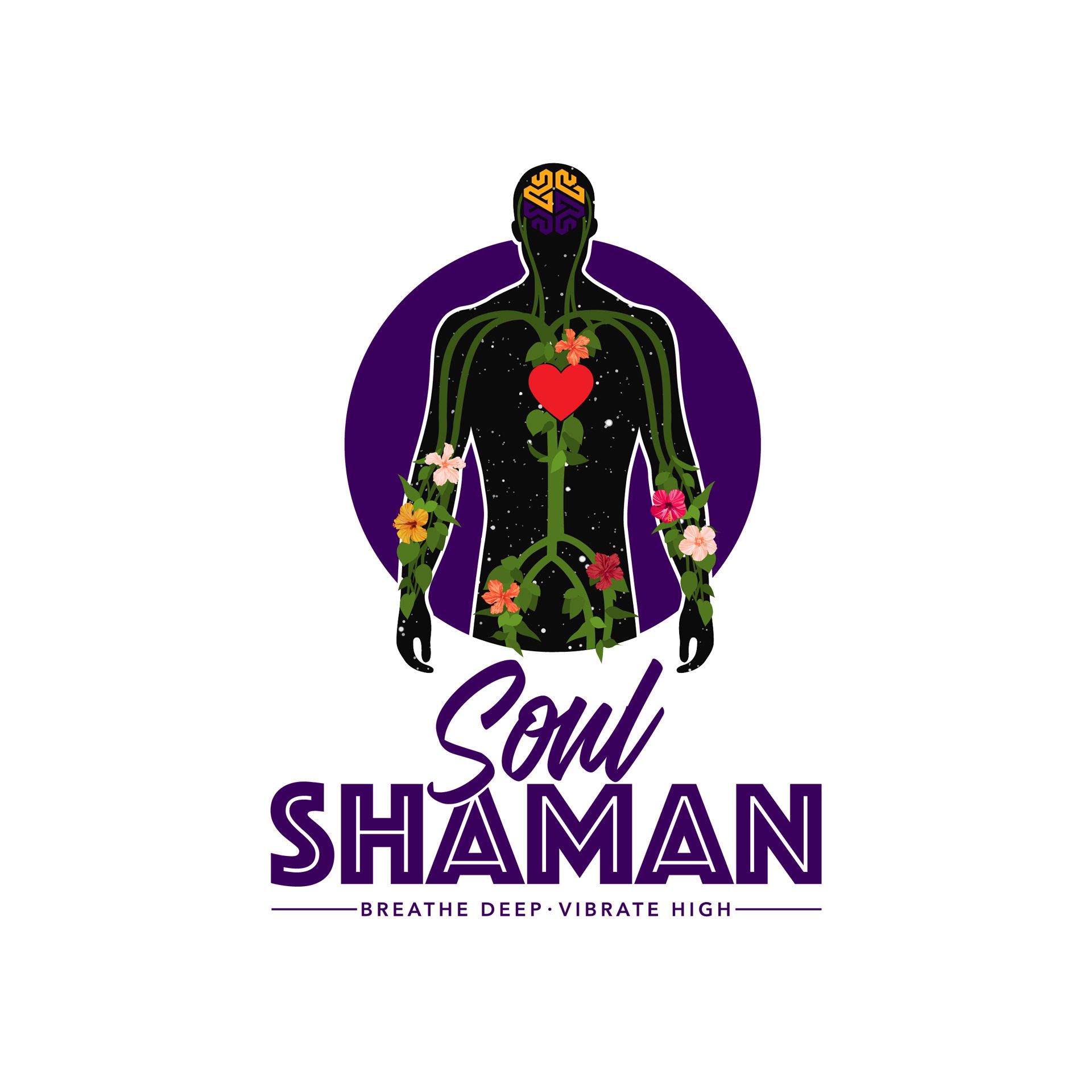 it is a logo for a company called soul shaman .