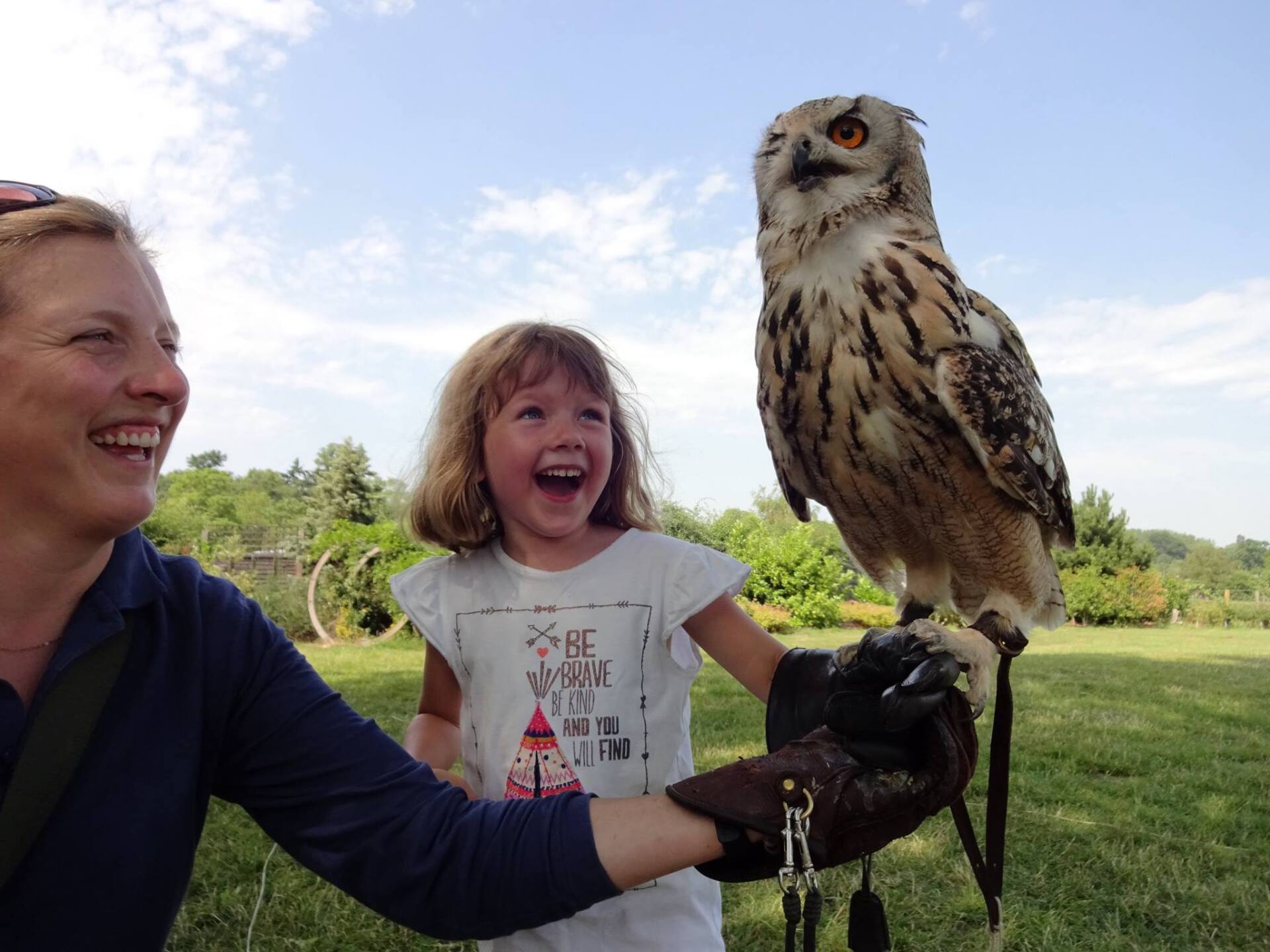 People looking at aquariam