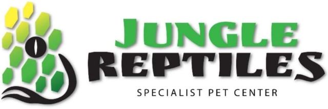 Reptile Supplies Reptile Stores Online Bearded Dragon Best Place