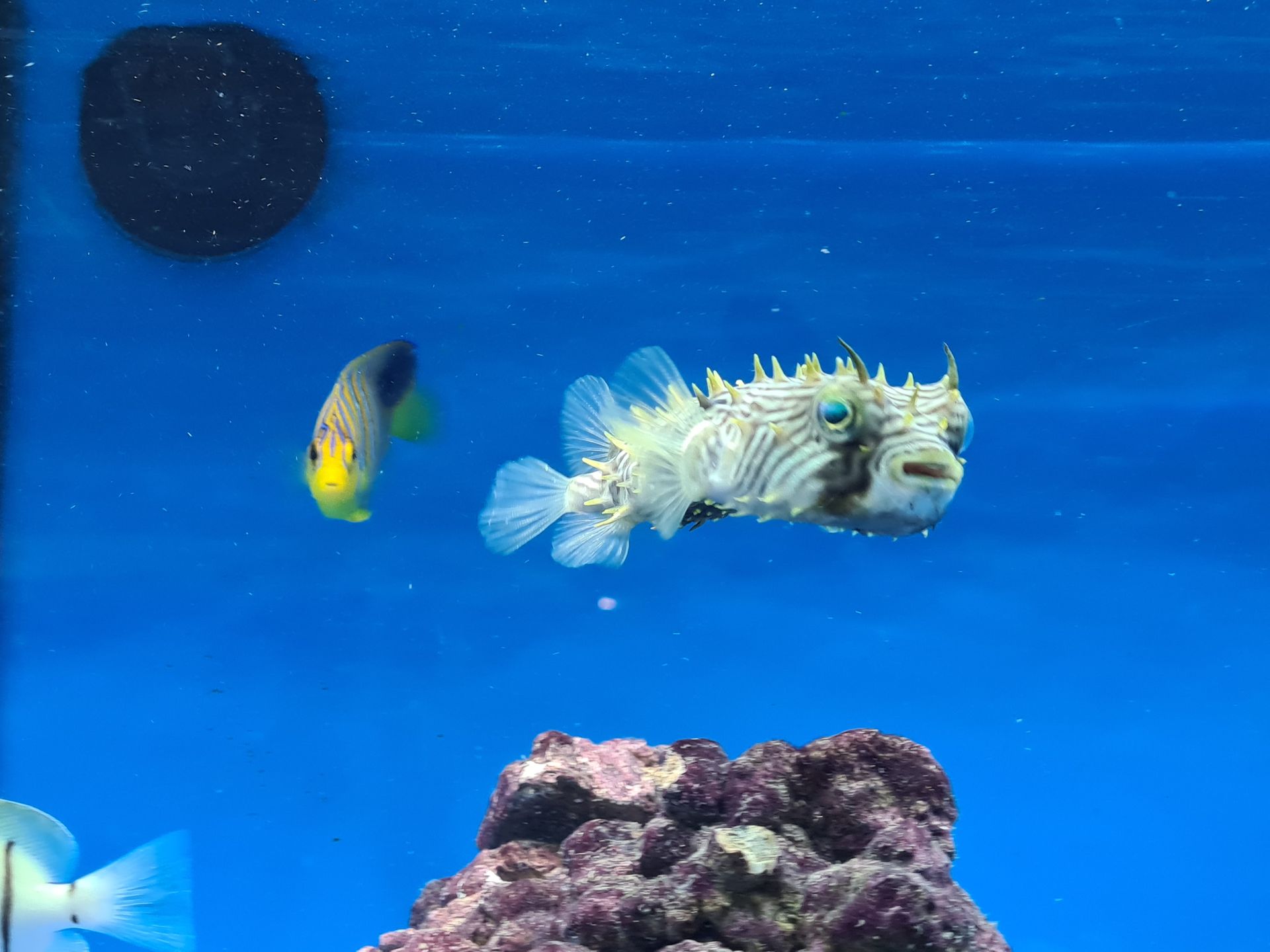 Meet the Independent Retailers: The Reef Keeper Store Manager