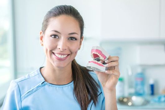 woman holding model teeth