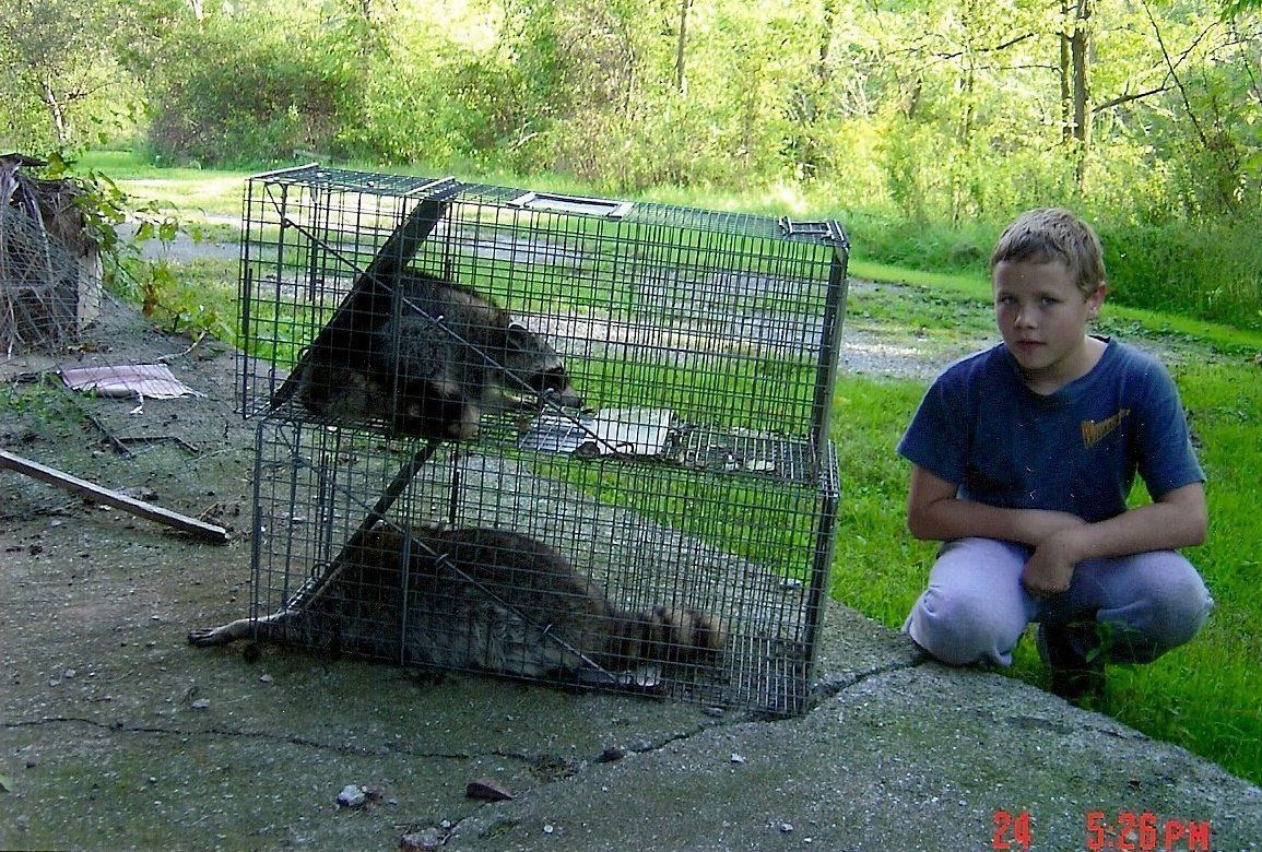A young boy kneeling next to a raccoon - Manchester, PA - Ellis Wildlife Pest Control