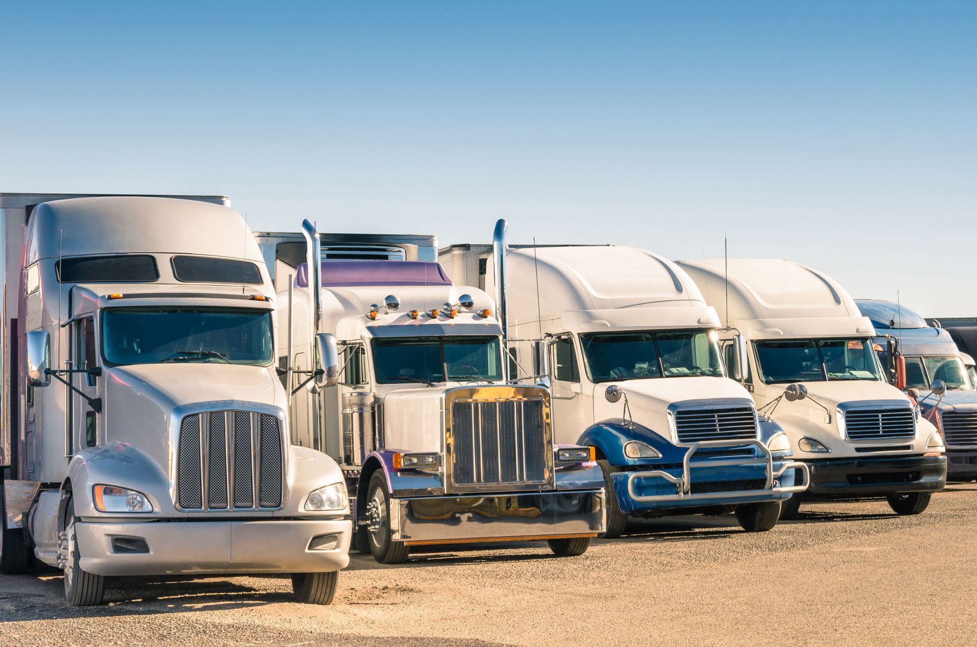 Row of semi trucks parked side by side on a gravel lot under a clear blue sky
