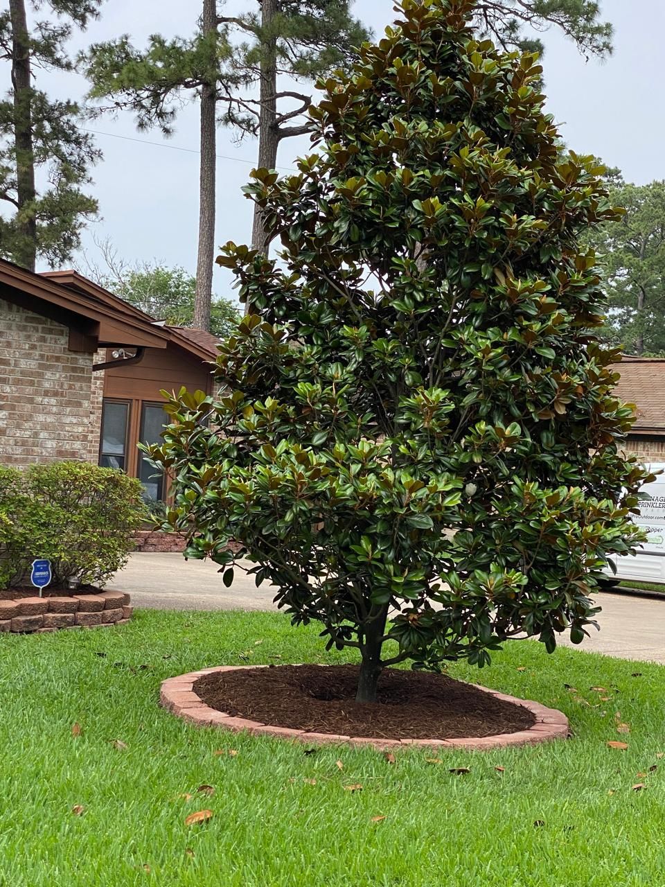 Landscape Design Company Dickinson Houston TX