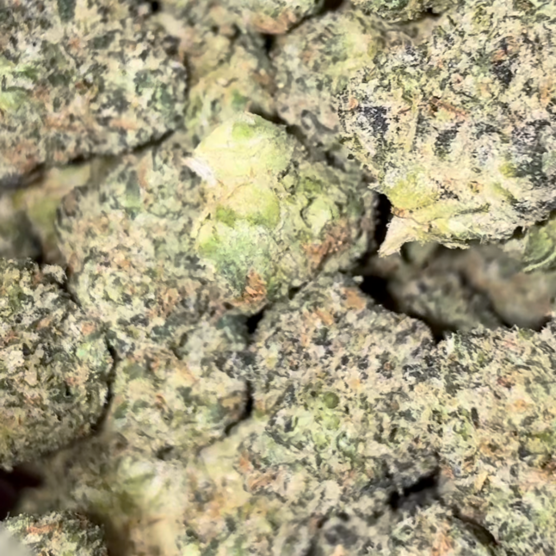 Candy Runtz