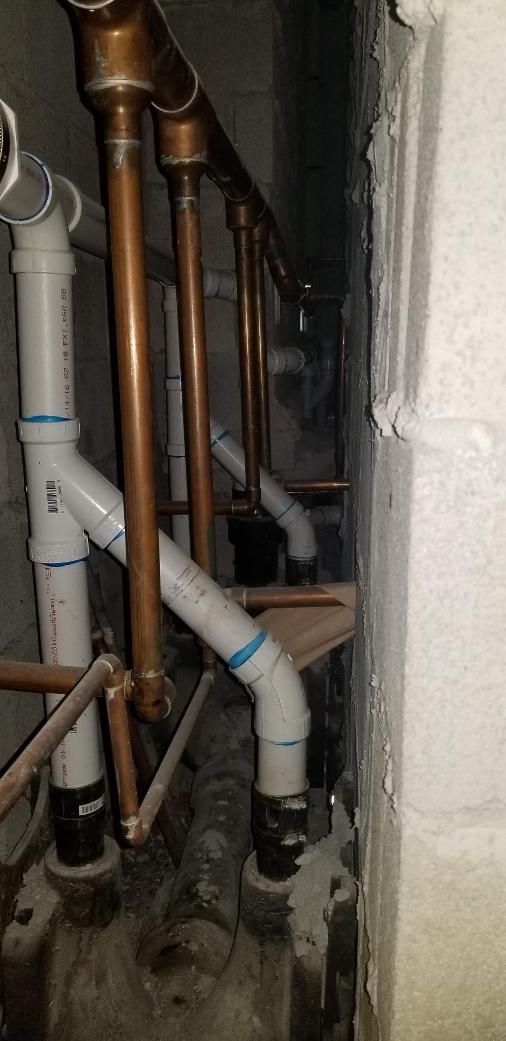 Lush green lawn with a garden bed of varying greenery and a house in the background. Bright sky.