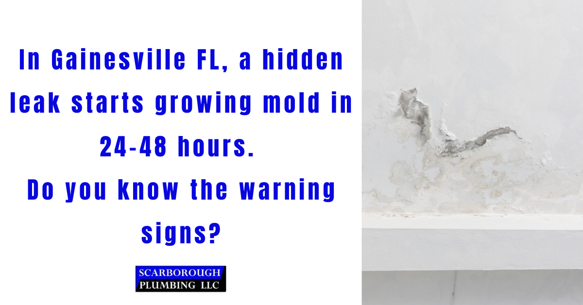 Leak detection Gainesville FL Scarborough Plumbing hidden water leak slab leak Florida