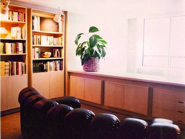 Duplex Loft Area — Chicago, IL — Allan J. Grant and Associates