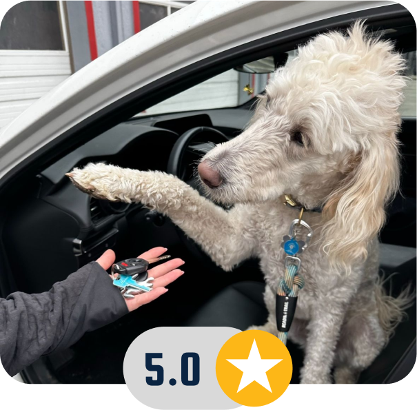 Reviews Image with Dog | Allen's Automotive