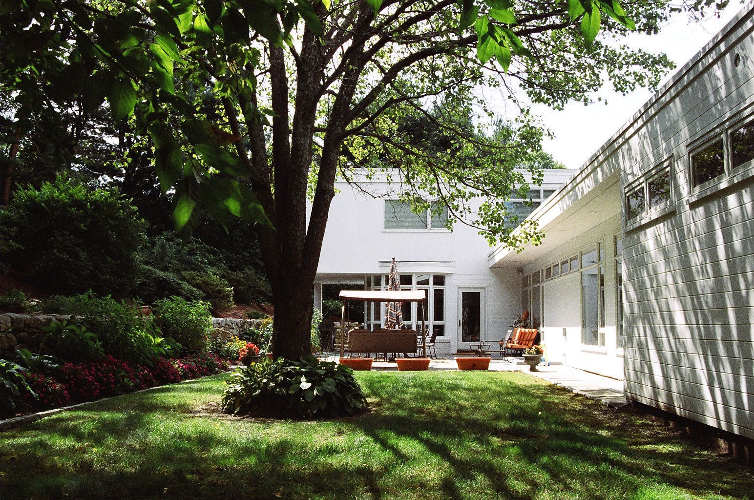 Backyard with tree, green grass, and white building. Patio with chairs and table, lush garden on the left.