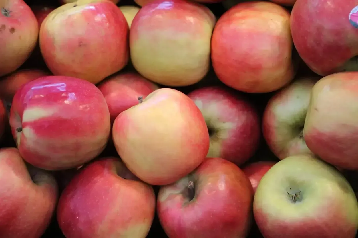 A close-up view of a pile of fresh apples with skin tones ranging from pale yellow to vibrant pink and red.