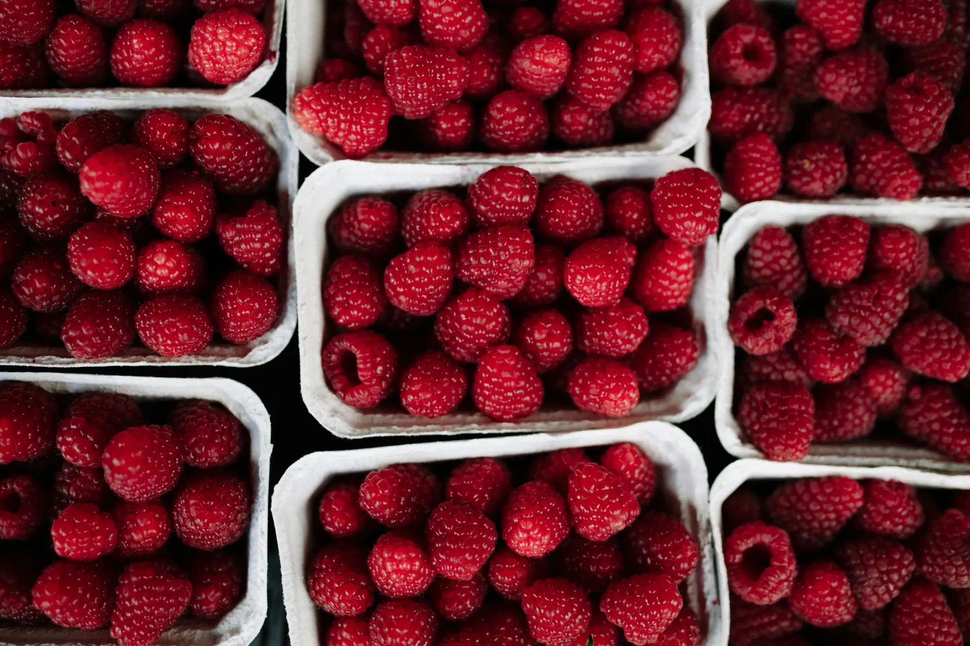Several small cardboard containers filled with fresh, ripe red raspberries arranged in a grid-like pattern.