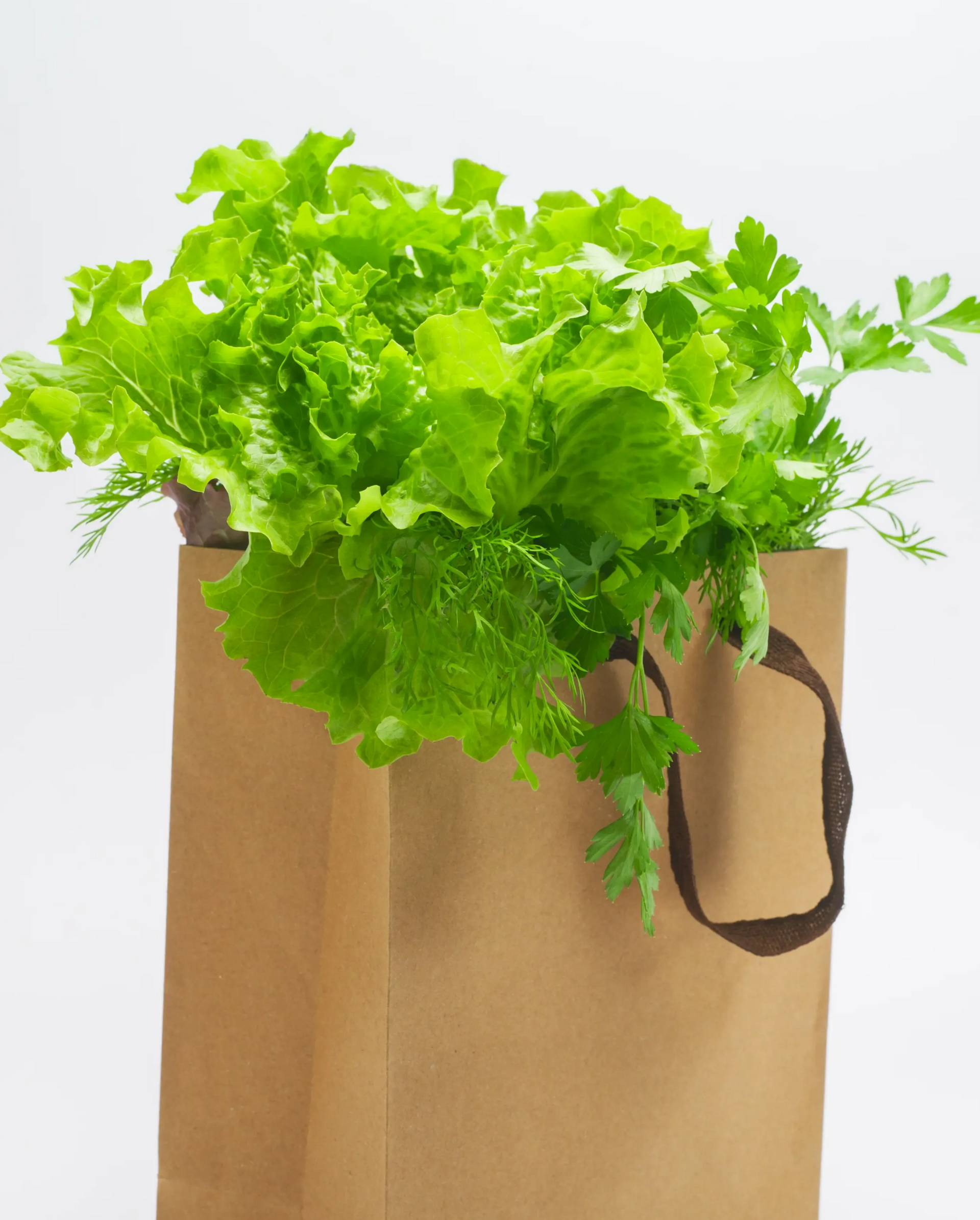 A paper shopping bag filled with fresh green lettuce and herbs against a plain white background.