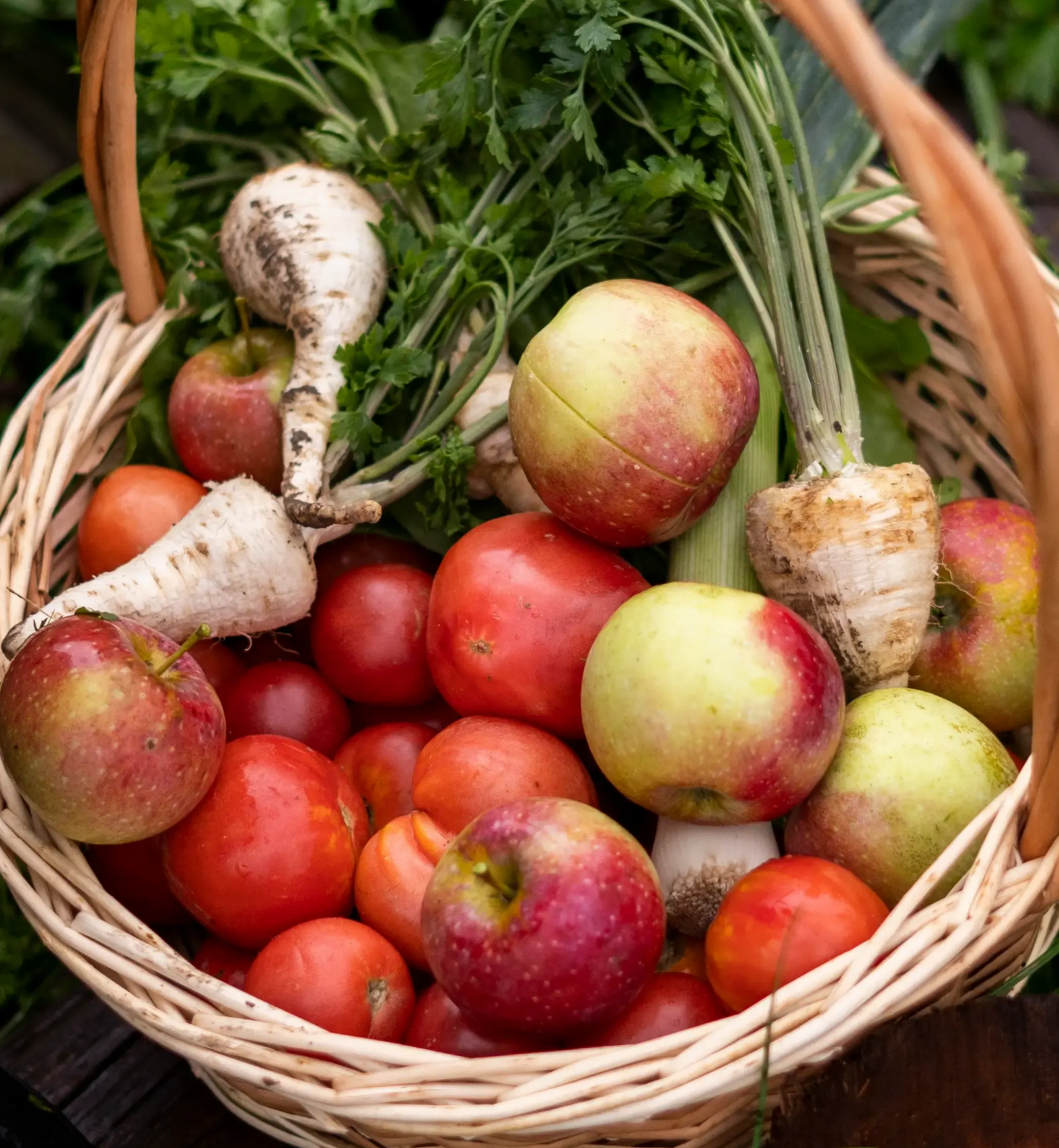 A woven basket filled with fresh produce, including red apples, tomatoes, and parsnips with green tops.