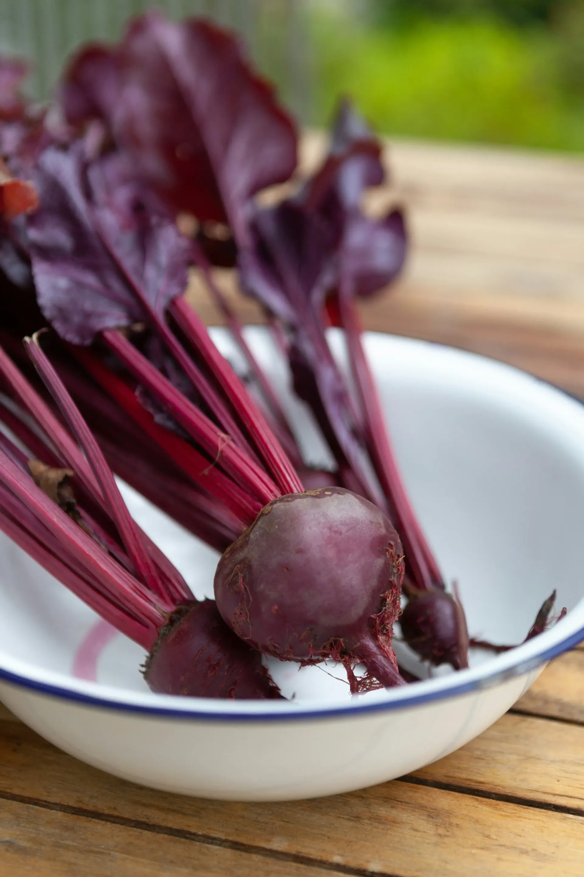 Fresh red beets with vibrant purple stems and leaves sit in a white enameled bowl on a wooden surface.