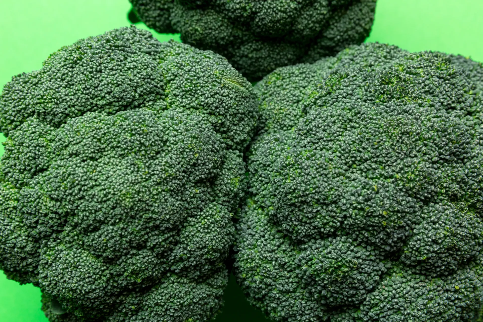 Close-up view of fresh, dark green broccoli florets set against a vibrant light green background.