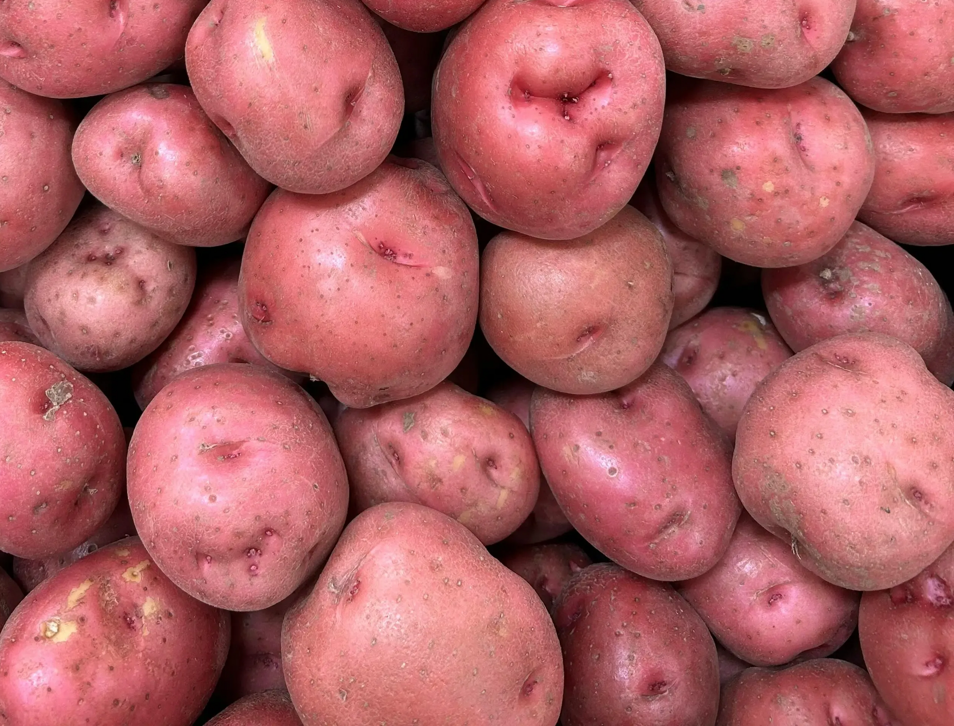 A close-up pile of fresh, unwashed red potatoes with smooth, pinkish-red skins.