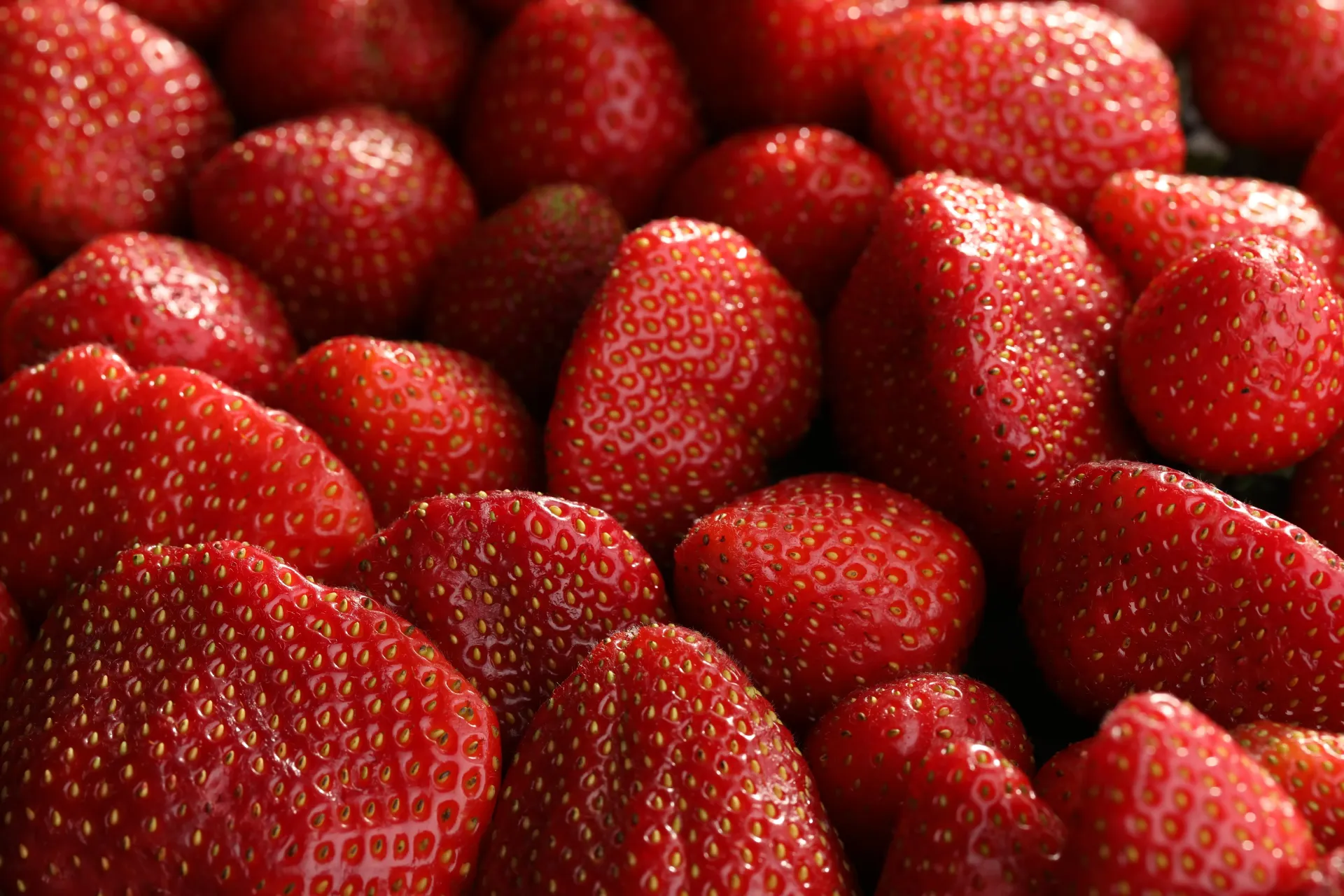 A close-up, full-frame view of many fresh, ripe, red strawberries packed together.