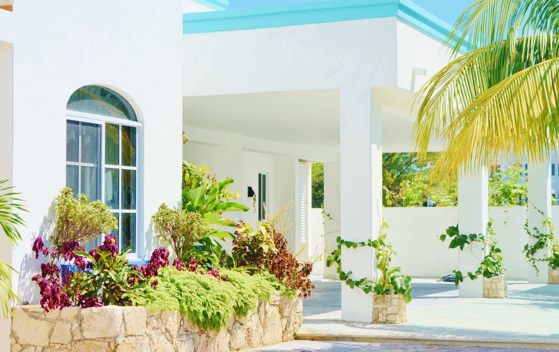 White building with turquoise trim and arched window, surrounded by lush tropical plants.