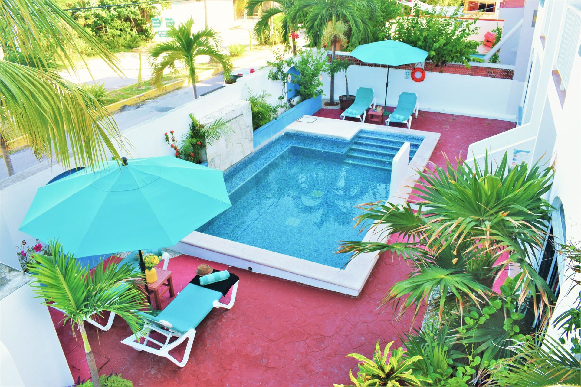 Piscina con tumbonas, sombrillas y vegetación tropical.