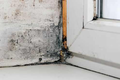 A close up of a window sill with mold growing on it.