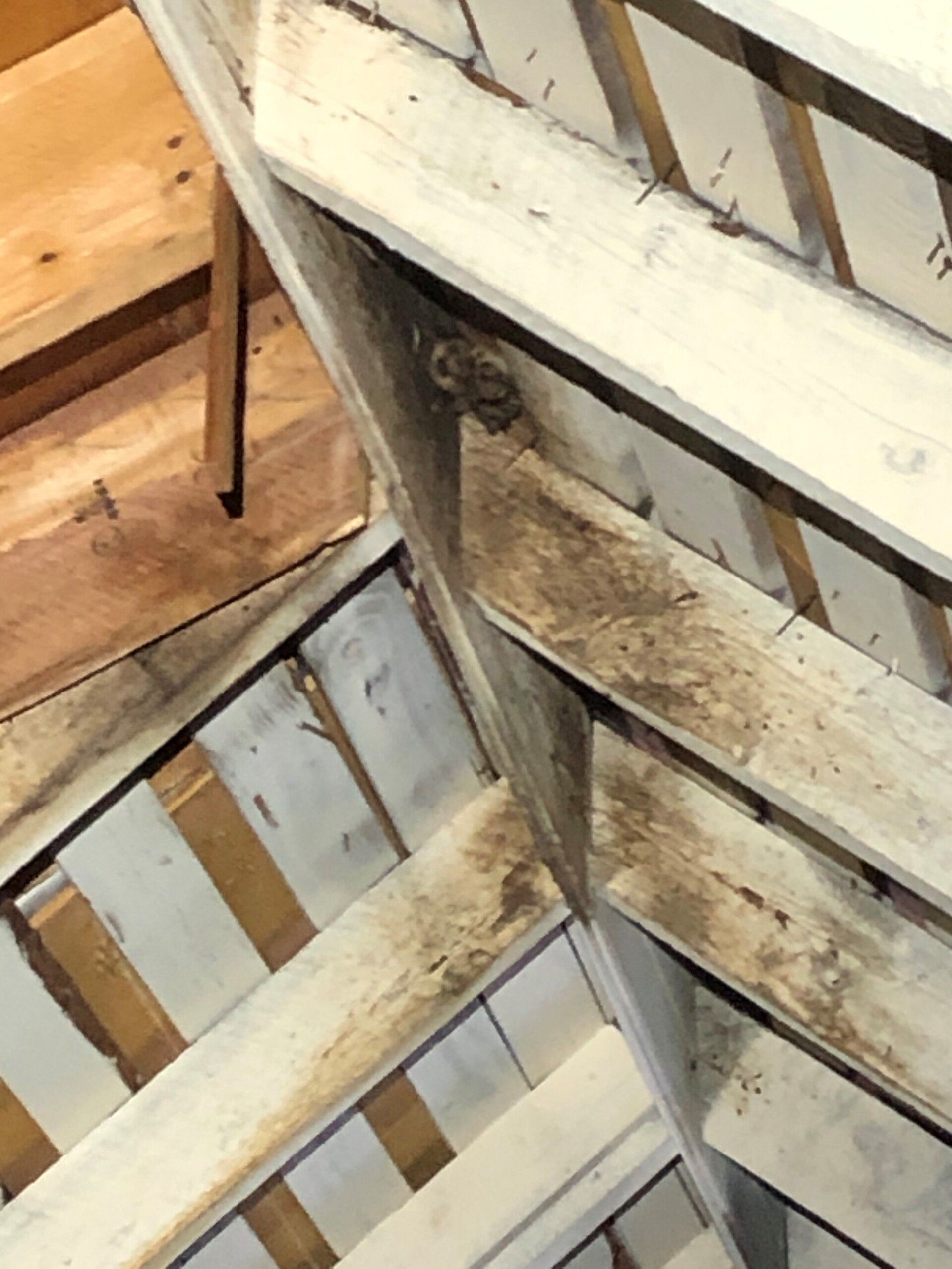 Close-up view of wooden beams in a ceiling corner; dark staining on beams, likely from water or mold.