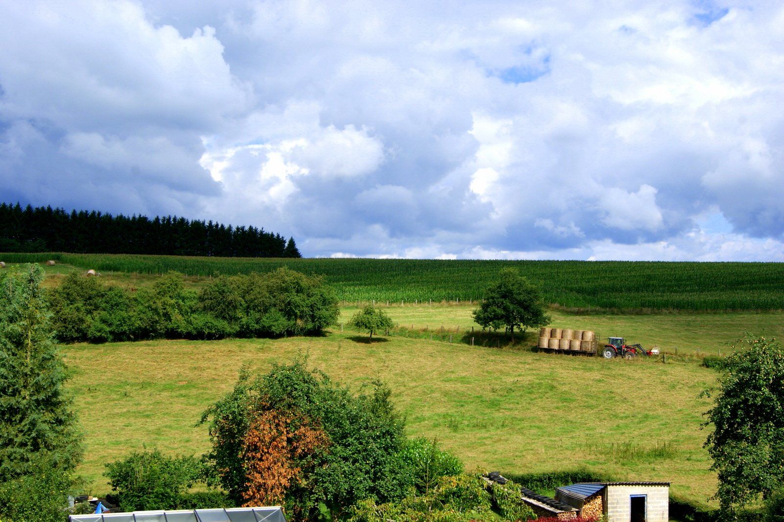 Une maison se trouve au milieu d'un champ herbeux