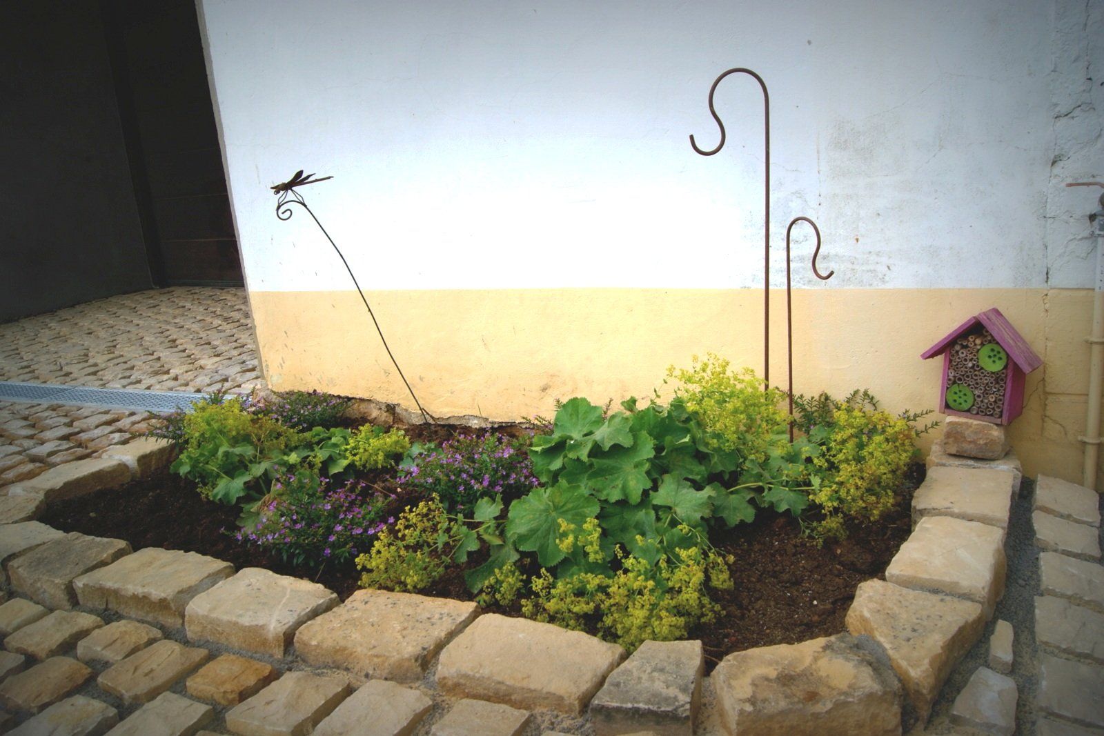 Un jardin avec des plantes et un nichoir sur le côté d'un bâtiment