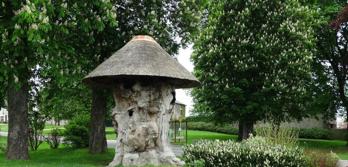 Une souche d'arbre avec un toit de chaume dans un parc