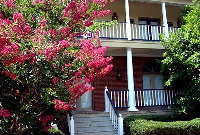 Our office is on the second floor in a lovely courtyard style building, overlooking crepe myrtle and Japanese magnolia trees.