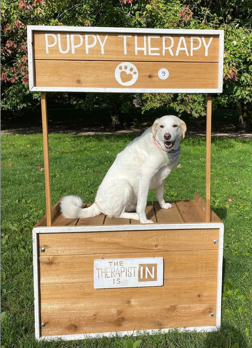 Pets and Friends Volunteer Appreciation Event Sept 2024