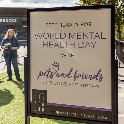 World Mental Health Day at The Amazing Brentwood 2024