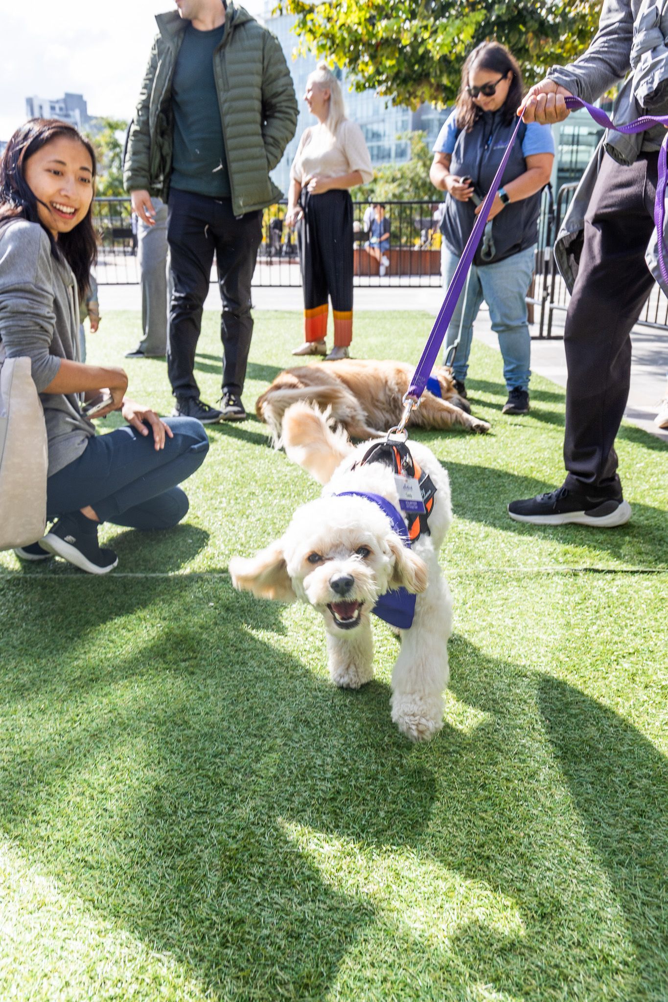 World Mental Health Day at The Amazing Brentwood 2024