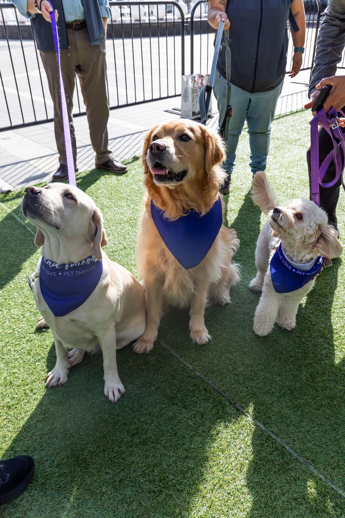 World Mental Health Day at The Amazing Brentwood 2024