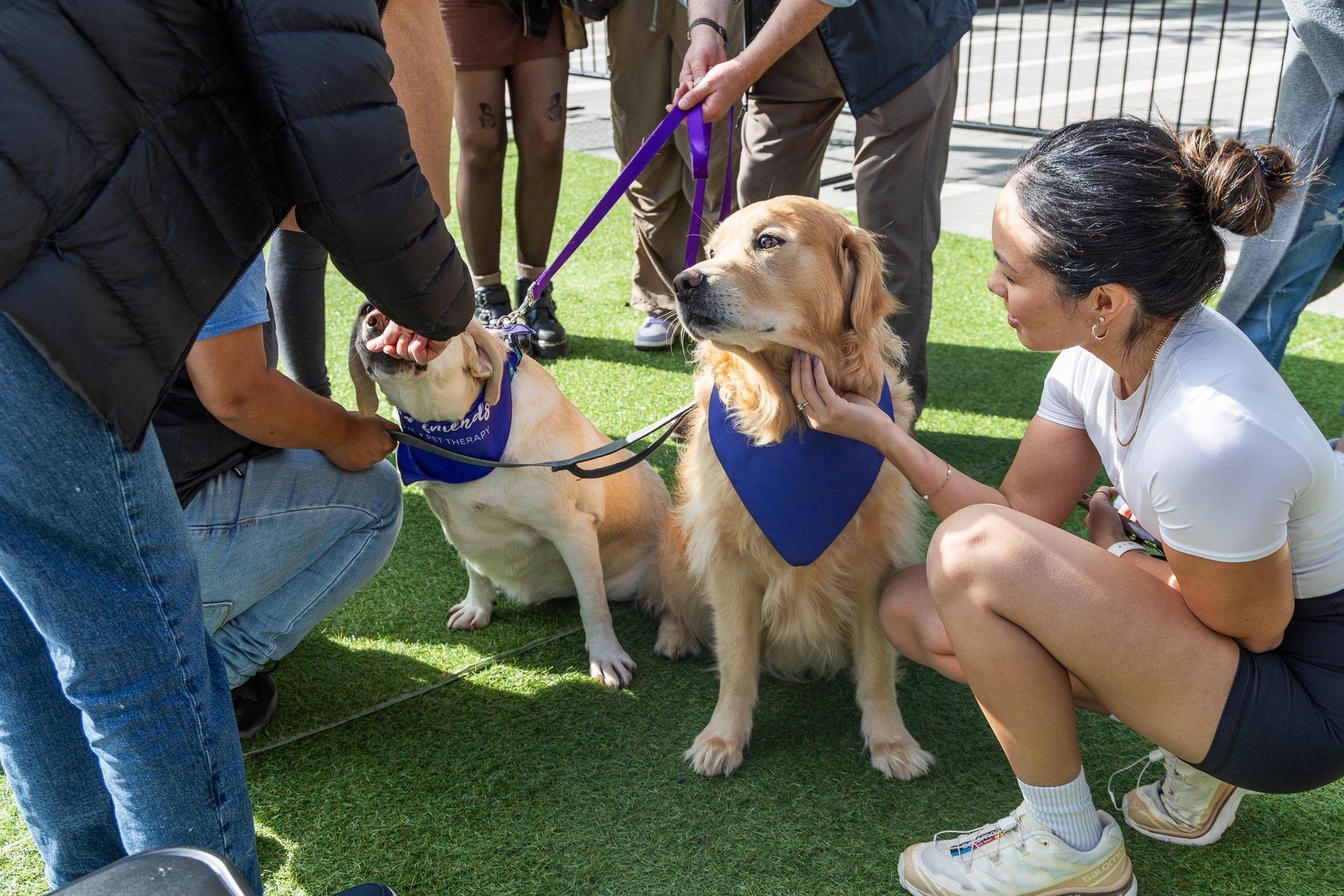 World Mental Health Day at The Amazing Brentwood 2024