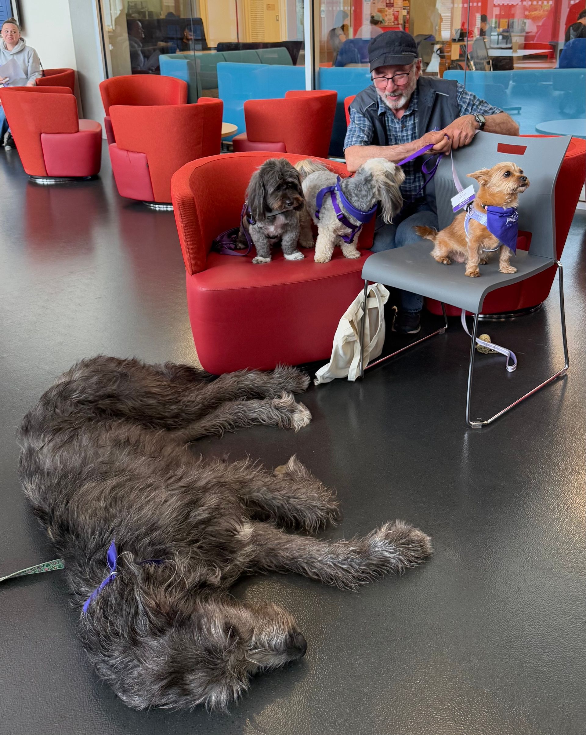 Volunteering at Simon Fraser University