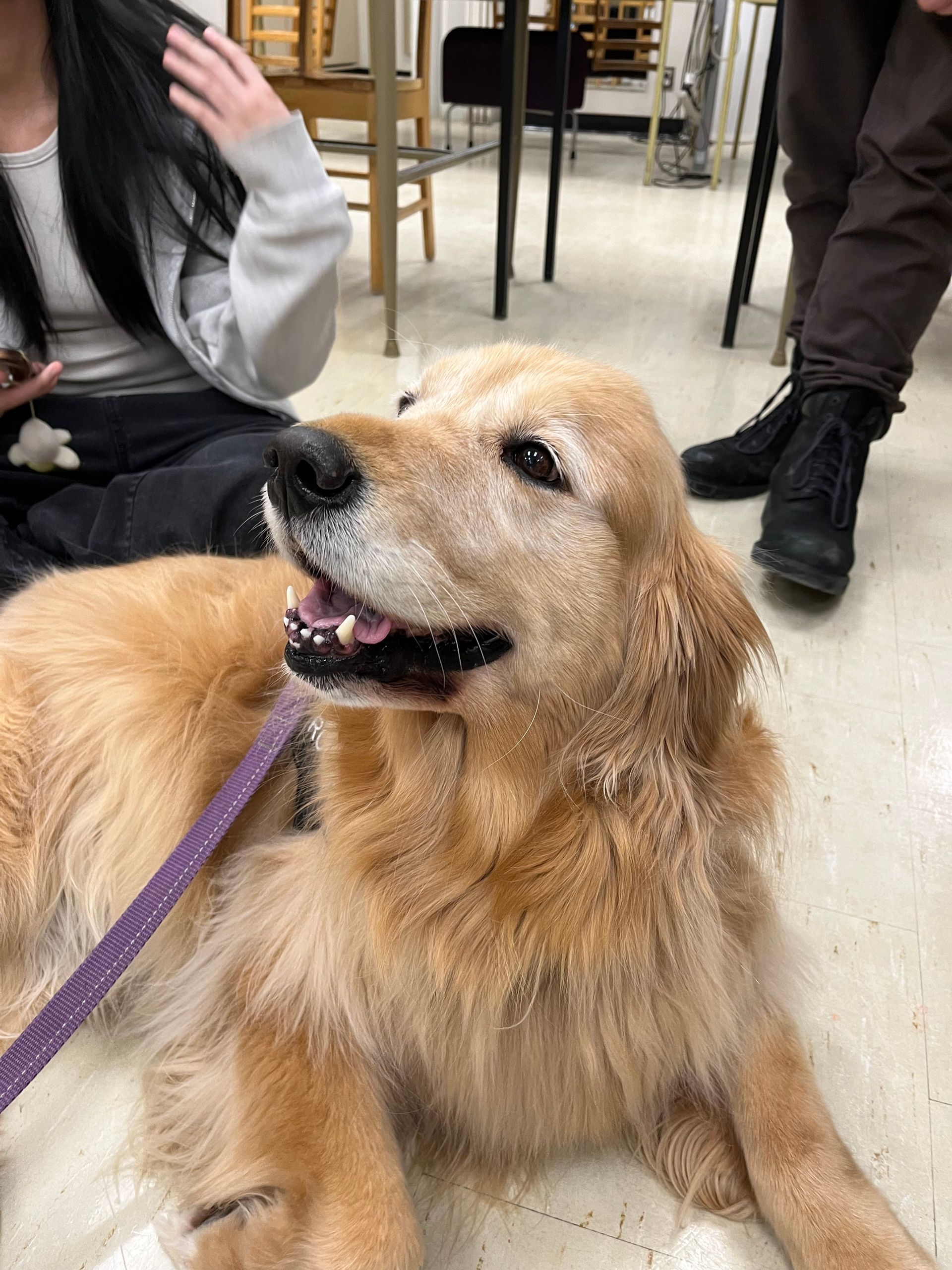 Visiting Students at Port Moody Secondary School