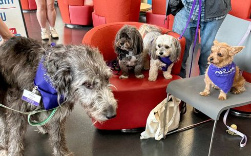 Volunteering at Simon Fraser University