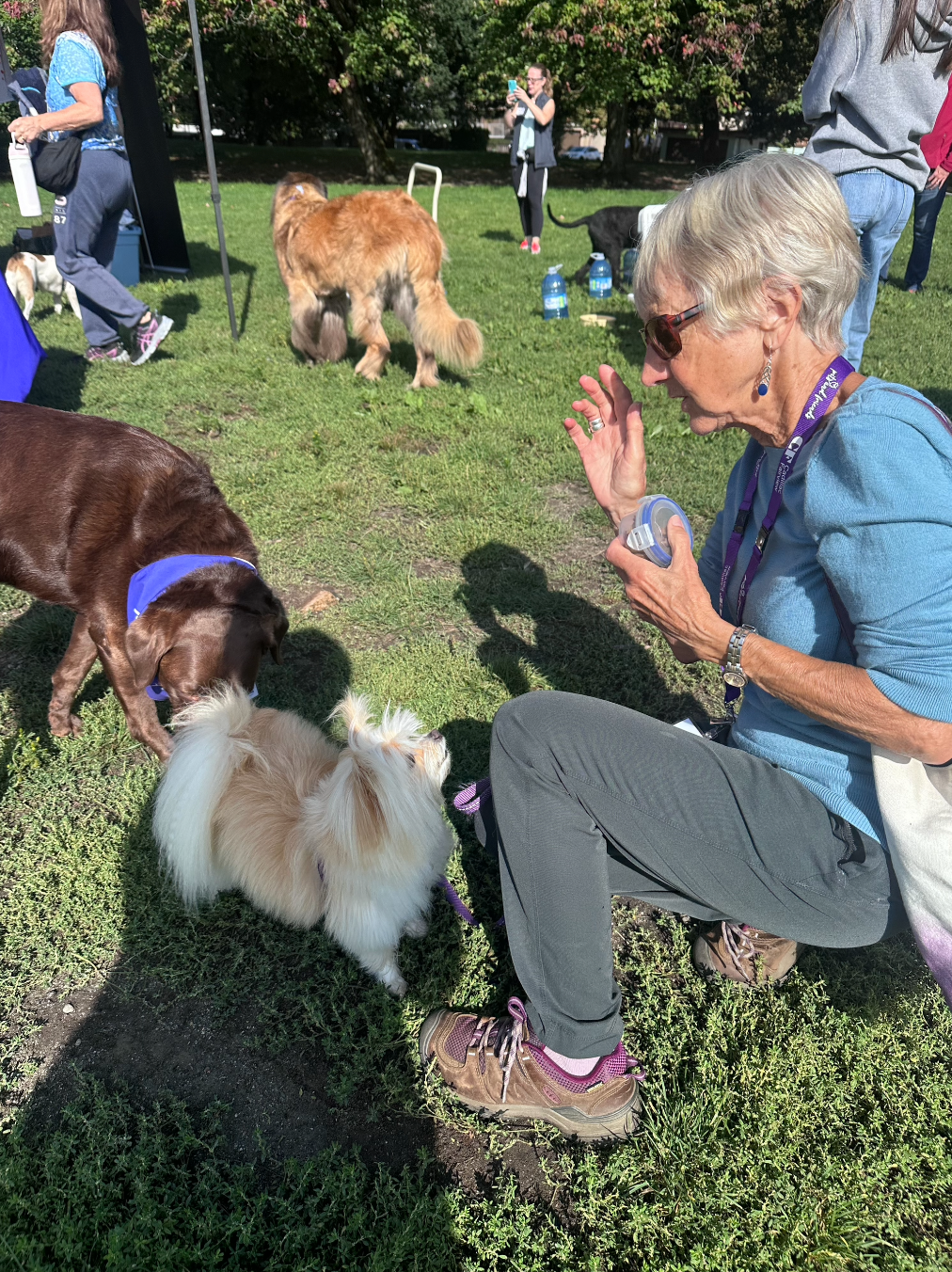 Pets and Friends Volunteer Appreciation Event Sept 2024