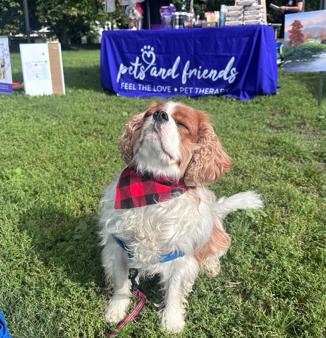 Pets and Friends Volunteer Appreciation Event Sept 2024