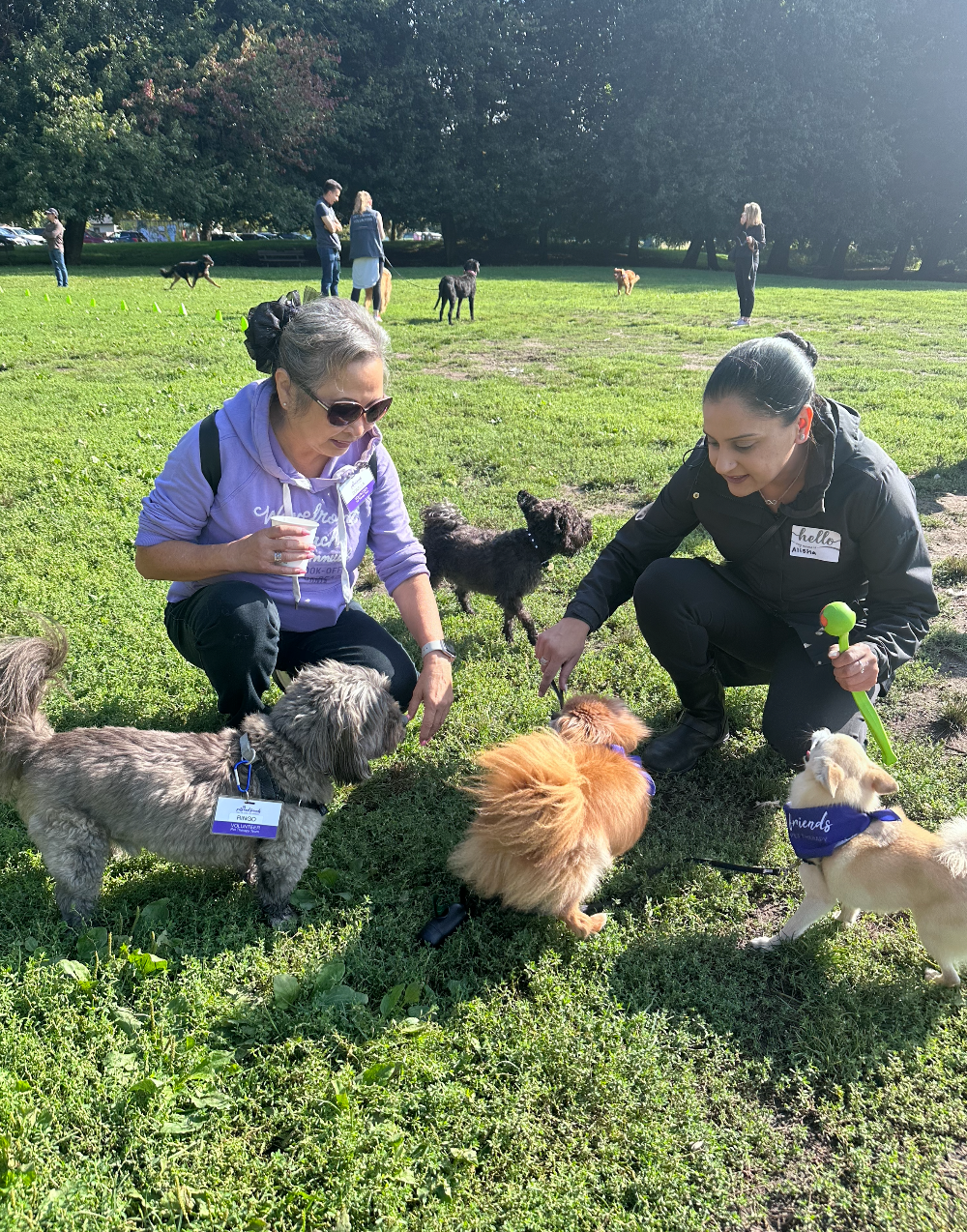 Pets and Friends Volunteer Appreciation Event Sept 2024